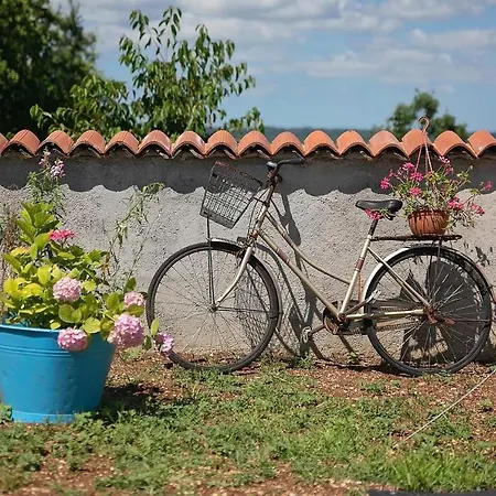 Casa de Férias Casa Sandra *
